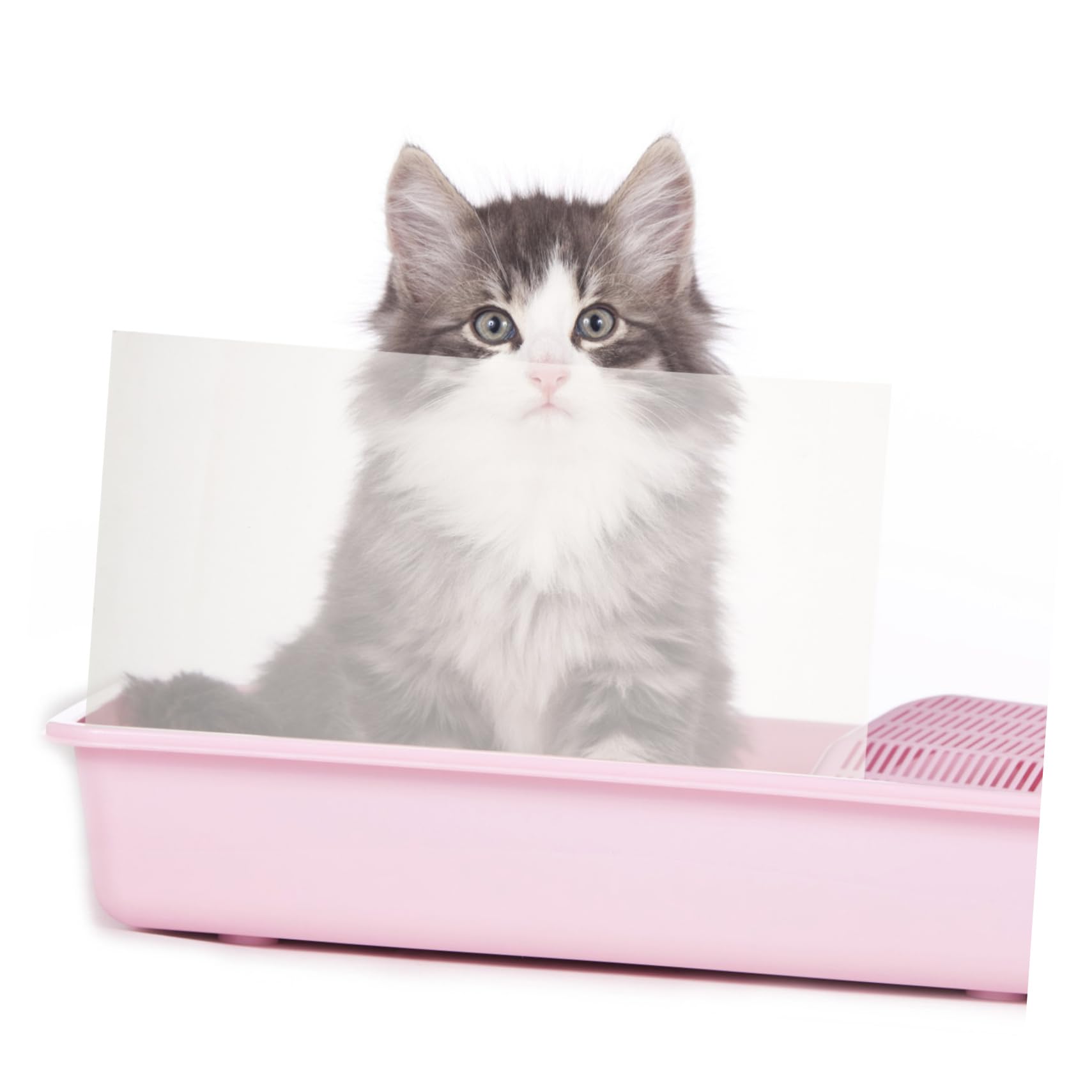 Amazon.co.jp: Frcolor 3個入り ボックス 消せるアクリル板 ゴミ箱