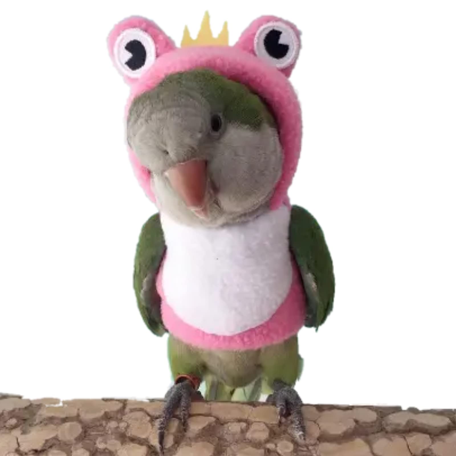 Bird Costume Diaper Flight Suit Frog Shape Hoodie Clothes Cosplay Photo Prop for Parrots Parakeet Cockatiel Sun Conure, Small Animals Apparel (Pink with Diaper, Large), Green (BPF1)
