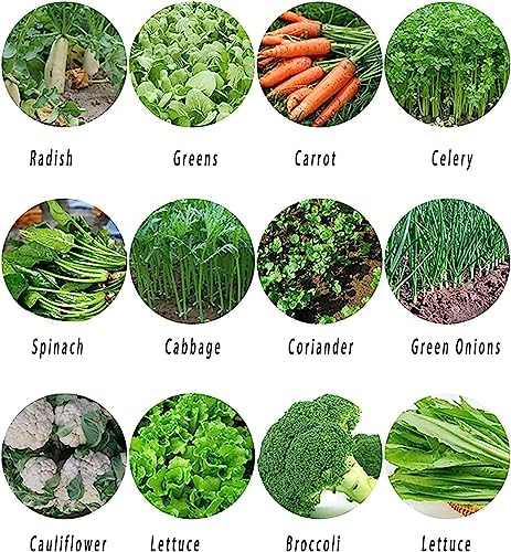Seminatrice manuale da giardino a 5 file per piantare mais, cotone, soia, arachidi e grano in prati e giardini