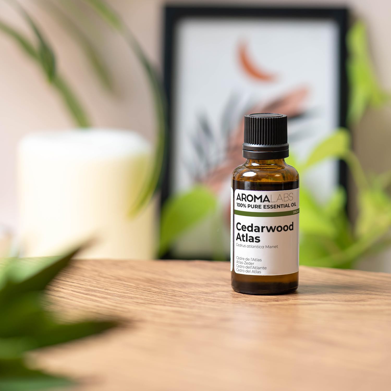 Cedro dell’Atlante BIO (Cedrus atlantica) - 30 mL - Olio Essenziale Chemiotipizzato e Certificato AB/Cosmos - Aroma Labs - Made in France
