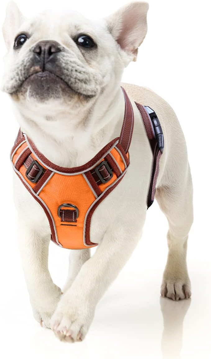 EAVSOW Dog Harness, No Pull Pet Harness with Front & Back 2 Leash Attachments, Adjustable Reflective Dog Vest for Outdoor Walking Training Control (M,Orange)