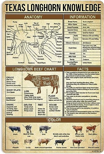 Maikeway Texas Longhorn Knowledge �A���~�j�E�����^���T�C�� �z�[���L�b�`�� �E�H�[���A�[�g�T�C�� �t�@�[���n�E�X �o�[ �N���u ���� ���^���|�X�^�[ �u���L�̏���� 8x12�C���`