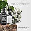 smith&burton Dermal Relief 2-in-1 Conditioning Shampoo for Dogs & Cats, Fragrance-Free, 1.32 gal (169 fl.oz) for Professionals, 100% Natural Ingredients - Antibacterial, Antihistamine and Anitfungal #3