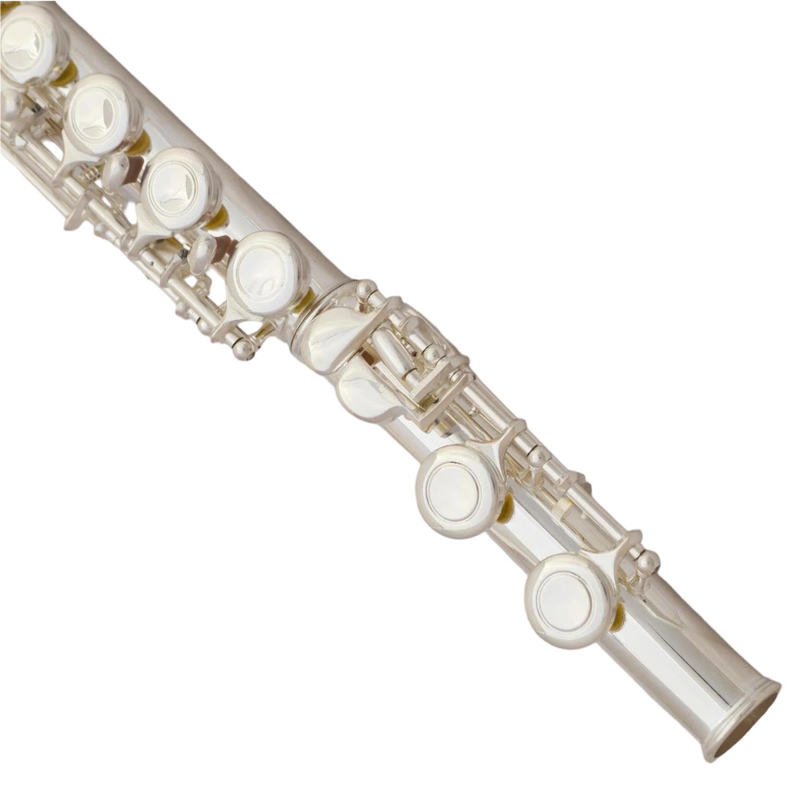 Flute Instruments Flet z wpustem C z 16 otworami