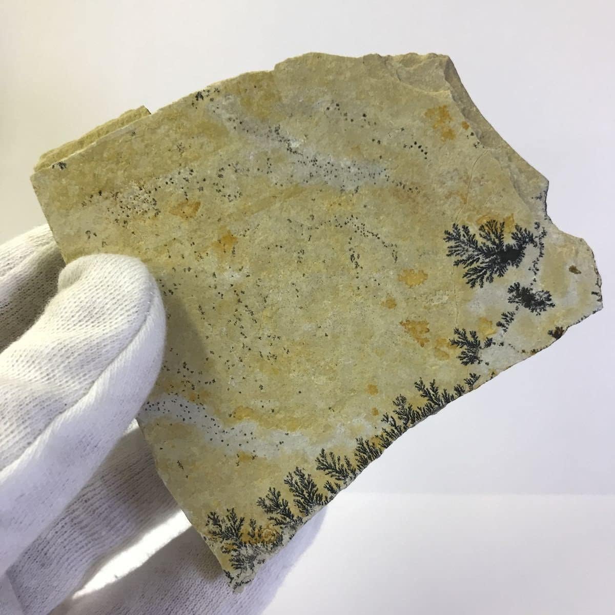 商品no K129 デンドライト 忍石 しのぶ石 忍ぶ石 天然石 鉱物 鉱物標本 パワーストーン 原石 原石 Pik2ar Org