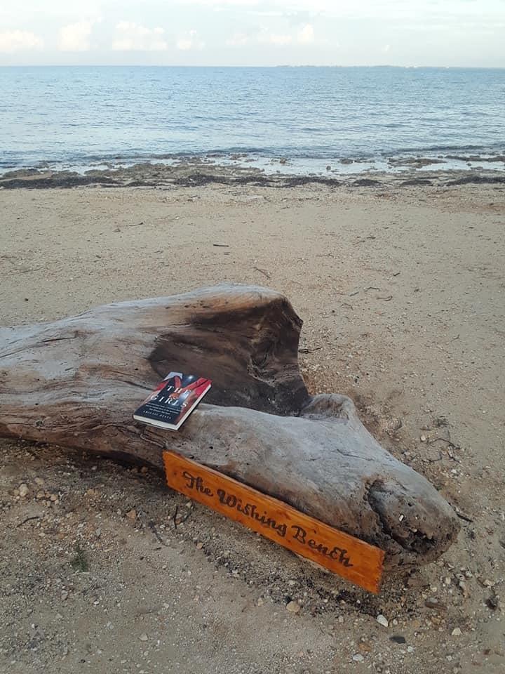 What Predators Don't Want You To Know