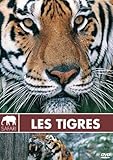  Les Tigres