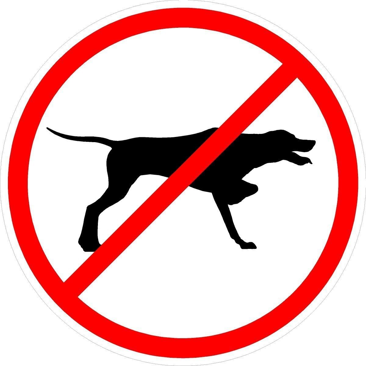 NO Bird Dogs Snitch spy (3 Pack) Vinyl Hard Hat Helmet Decal - Size: 2" Round Color: White/Black/RED - Hard Hat, Helmet, Windows, Walls, Bumpers, Laptop, Lockers, etc.