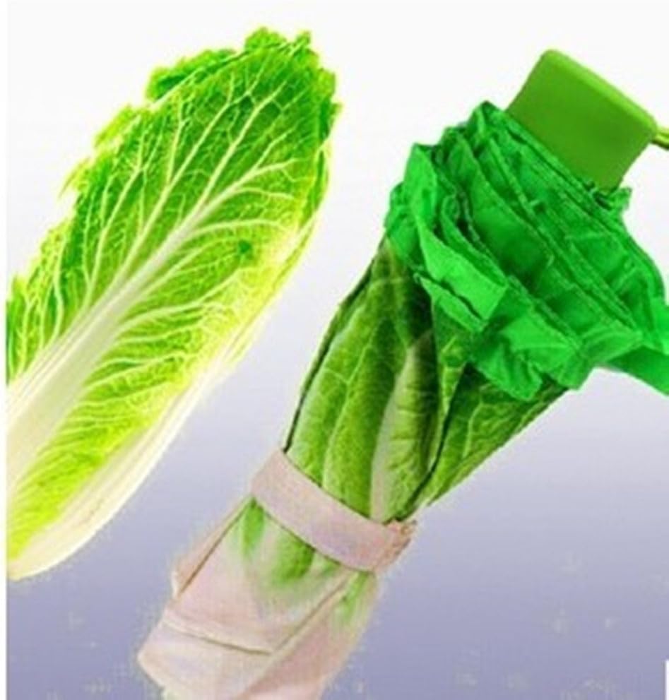 Kangkang @ Fashion and Fresh Simulation Cabbage Lettuce Umbrella Umbrella Fold Thirty Percent Creative The Sun Umbrella