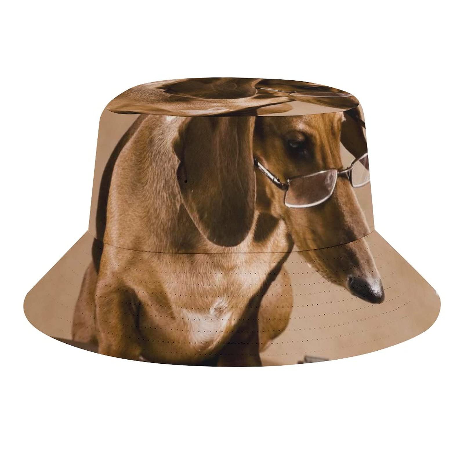 通用 Unisex Bucket Hat Dachshund Professor Book Summer Beach Travel Print Sun Hat Reversible Fisherman Cap for Men Women
