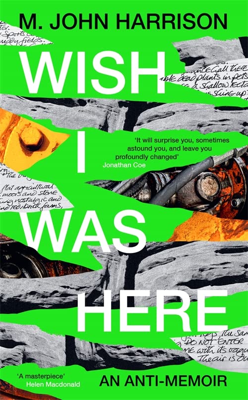 Cover of Wish I Was Here