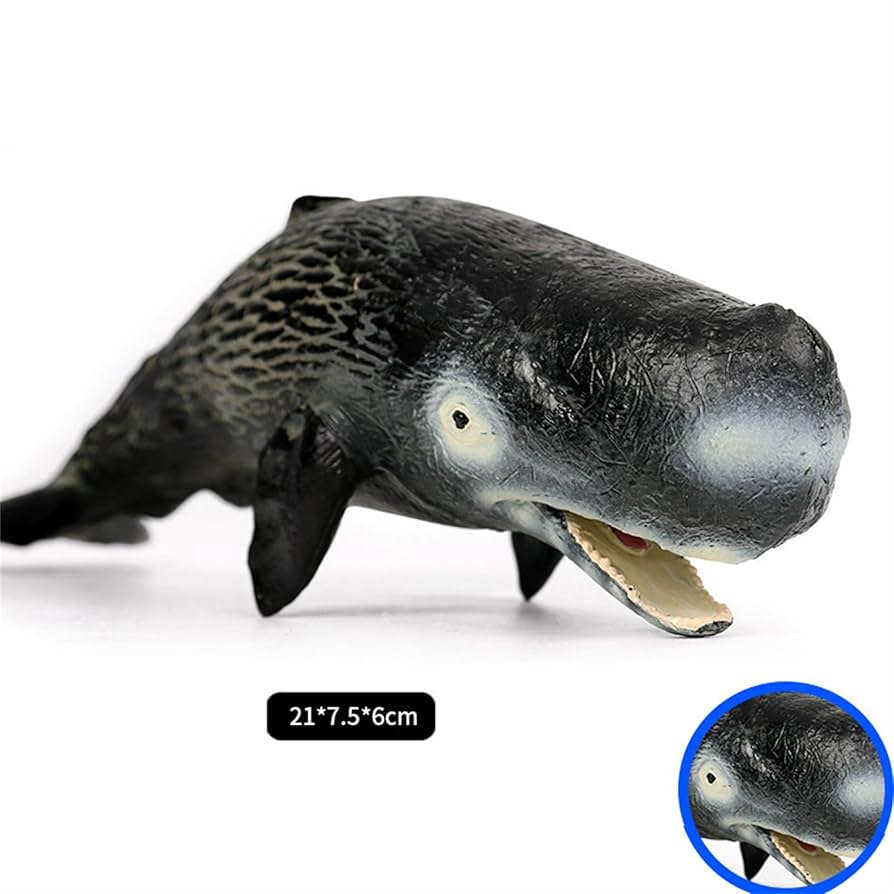 鯨歯 約10cm 約170g 抹香鯨 鯨歯 約10cm 約170g 抹香鯨 鯨歯 約10cm 約170g 抹香鯨