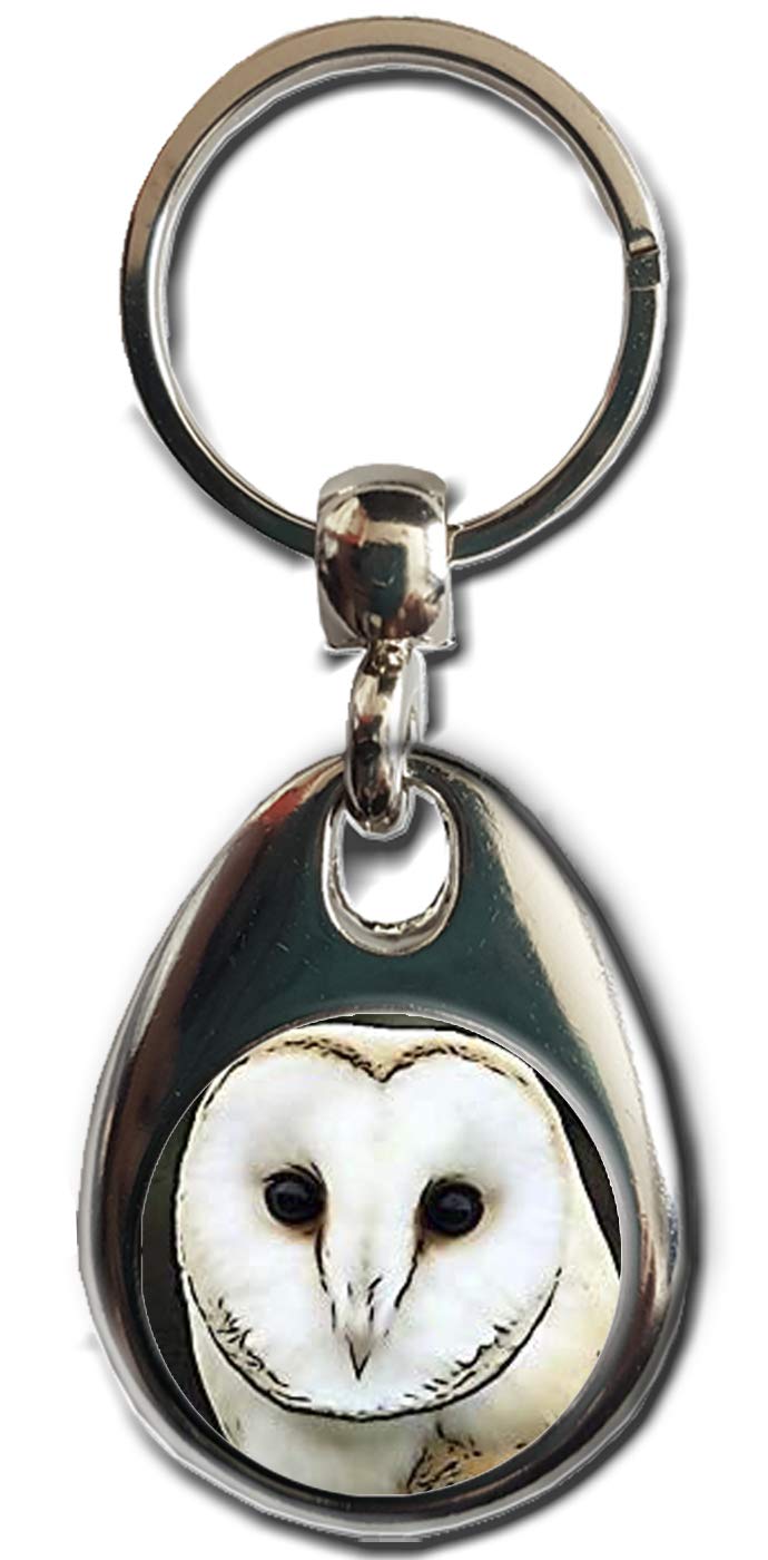 Kazmugz Multicolor Barn Owl Keyring. Heavy Quality Metal Gift Keyring. Double Sided Keychain. British Bird Gift.