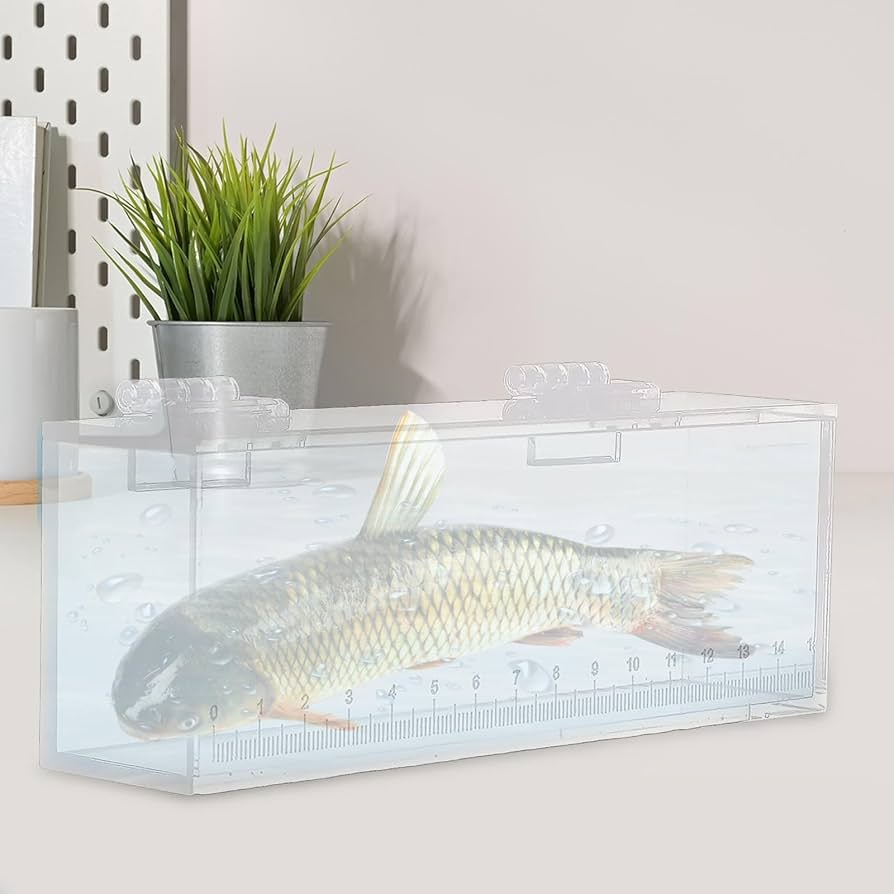 KOTOBUKI 観賞魚 ペット ガラス 水槽 ケース 90cm BOX 軽量 KOTOBUKI 観賞魚 ペット ガラス 水槽 ケース 90cm BOX 軽量