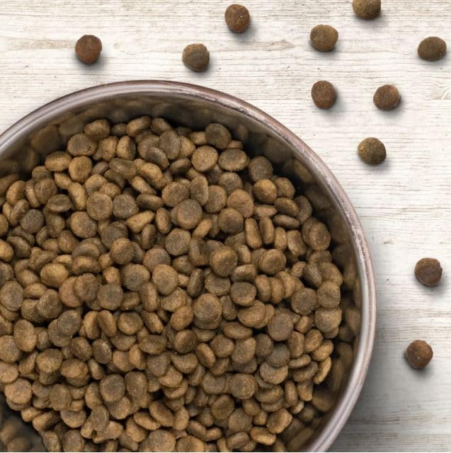 Wildborn Ente & Kartoffel Junior 1 x 12 kg | Hundefutter für Welpen und Junghunde mit viel Entenfleisch | Getretreidefreie Rezeptur