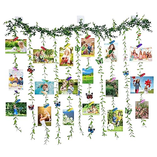 Otoevin Wall Hanging Photo Display with Clip，Artificial Eucalyptus Vine Tree Leaf DIY Picture Photo Frame Collage Set with 40 Clips and 8 Butterfly Decor，for Home Office nursery Dorm,39.3x31.5