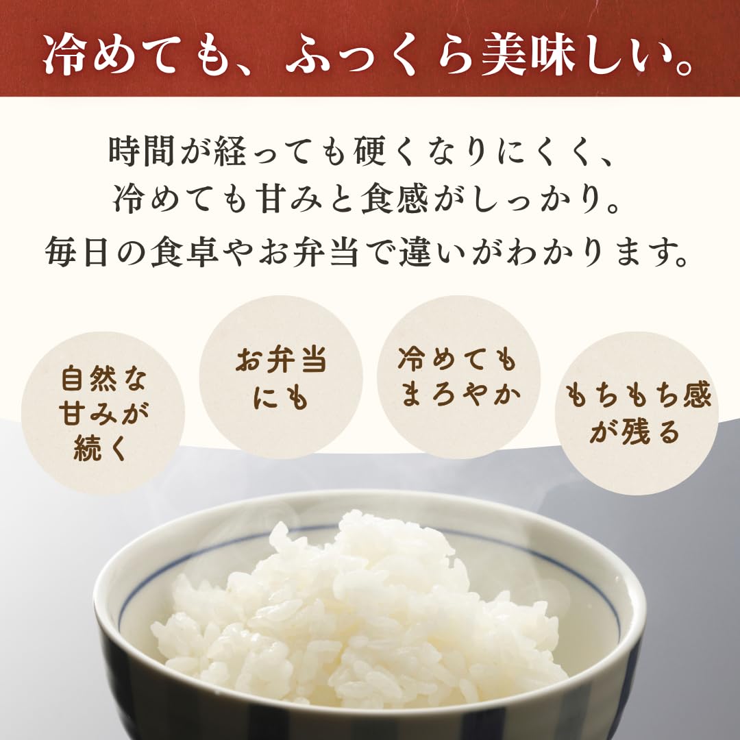 Amazon.co.jp: [精米] 米 令和7年産 新米 5kg お米 高知県産