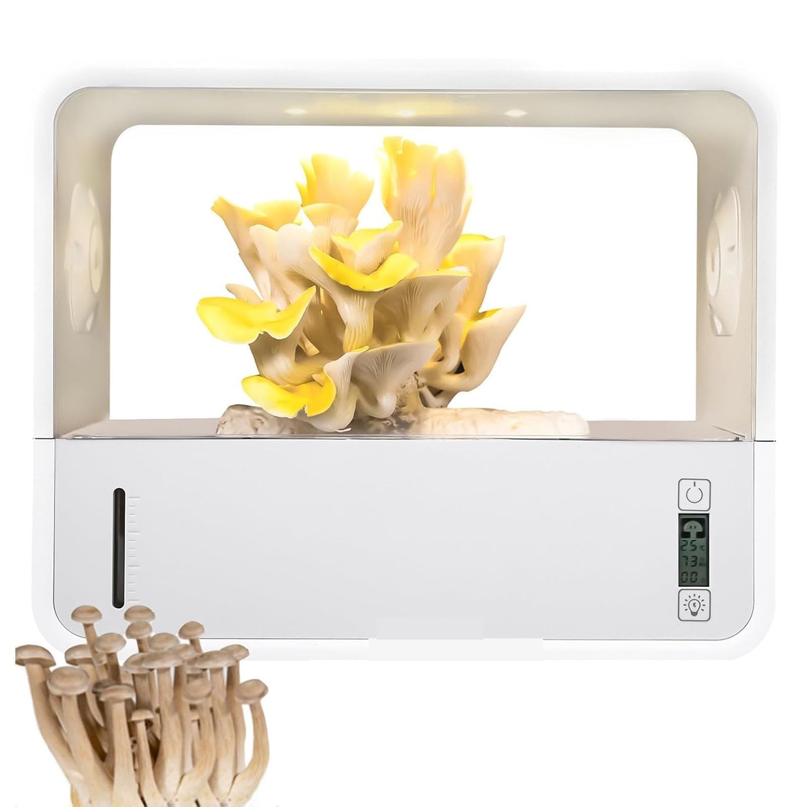 Kit de culture de champignons avec contrôle de température et humidité