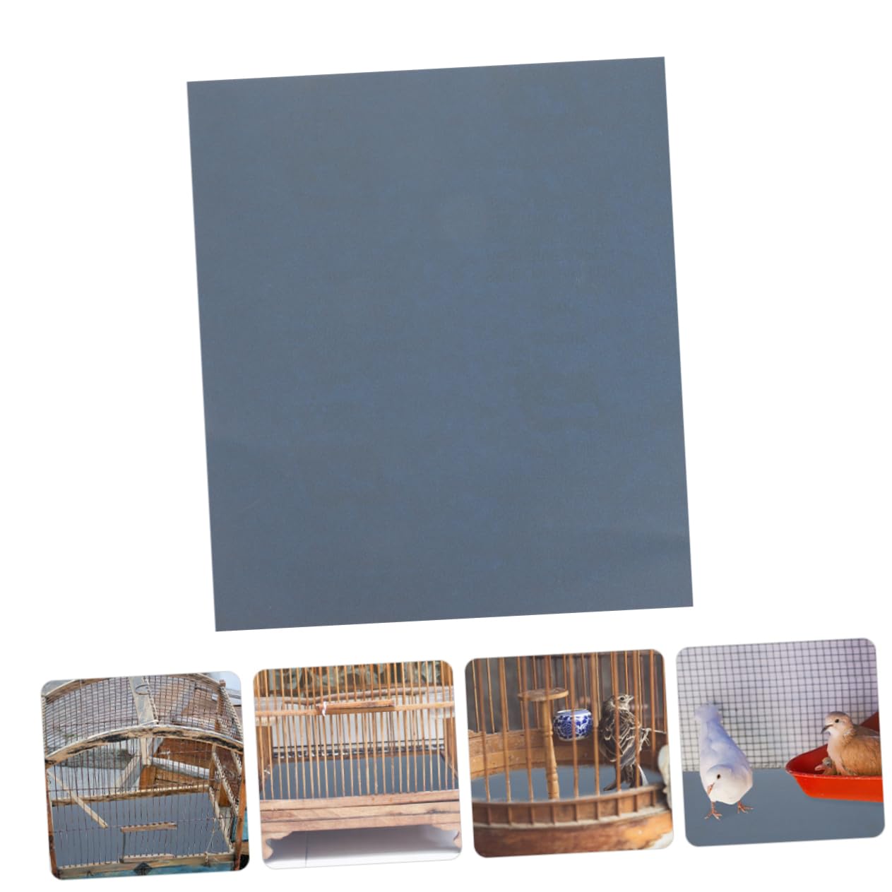 Toyvian 5pcs Sandpaper Pads for Bird Cages Polishing Sheets for Pet Birds Versatile Cage Liners Easy to Replace Grit for Healthy Claws