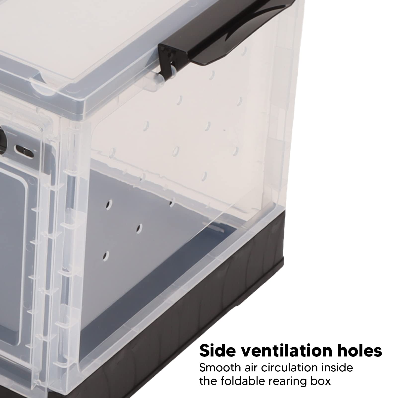 Réservoir Transparent pour Hamster, Cage Transparente Respirante de Grande Capacité, Enclos Amovible pour Reptiles avec Alimentation Supérieure et Ventilation par écran pour Hamster Doré(Noir)
