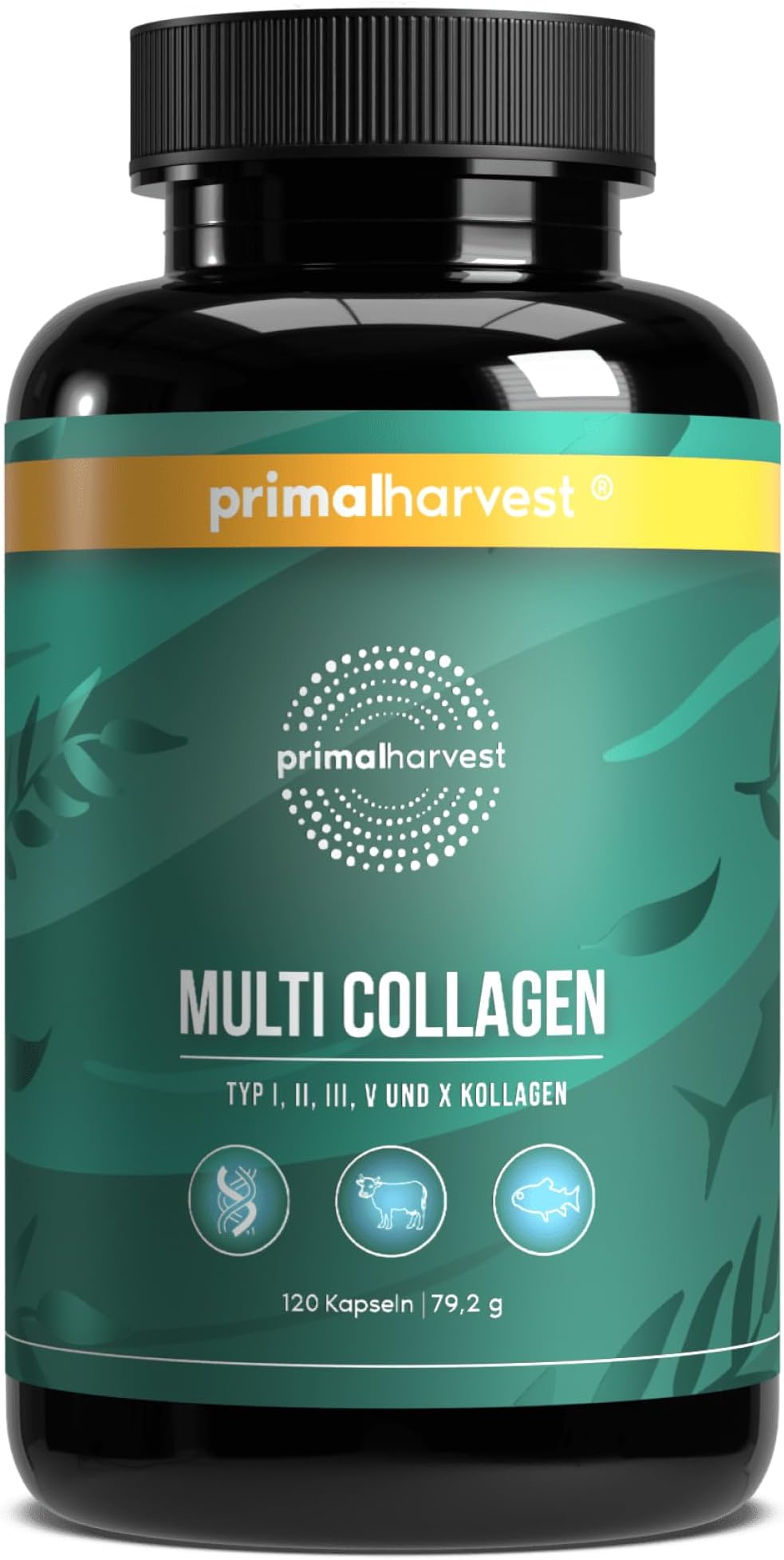 Primal Harvest Multi Collagen Supplement Types I, II, III, V & X Collagen Pills for Men & Women Dairy, Soy & Gluten Free 1 Pack 120 Capsules