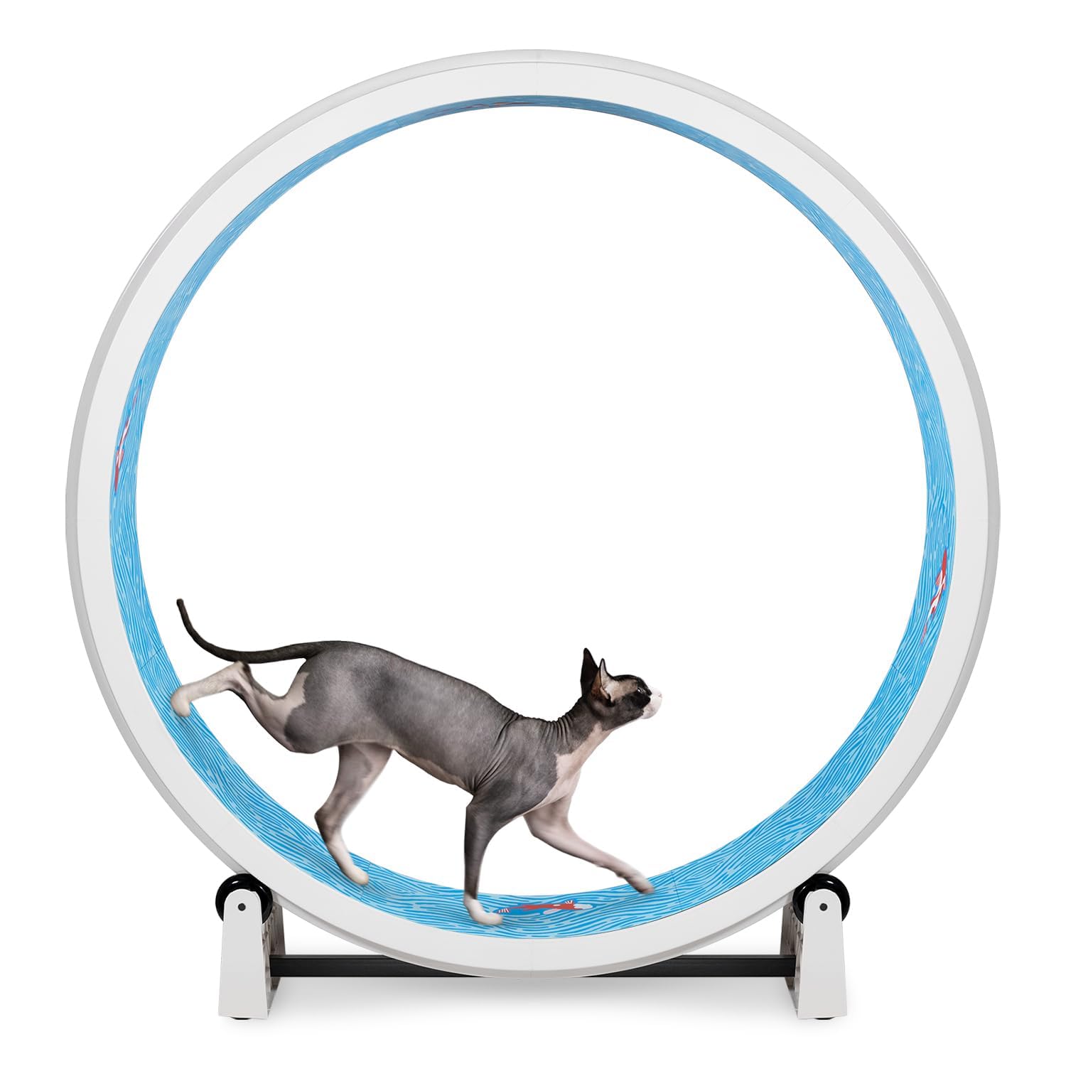 One Fast Cat Exercise Wheel, Gen 7, Safe 48” Diameter, Made in the USA