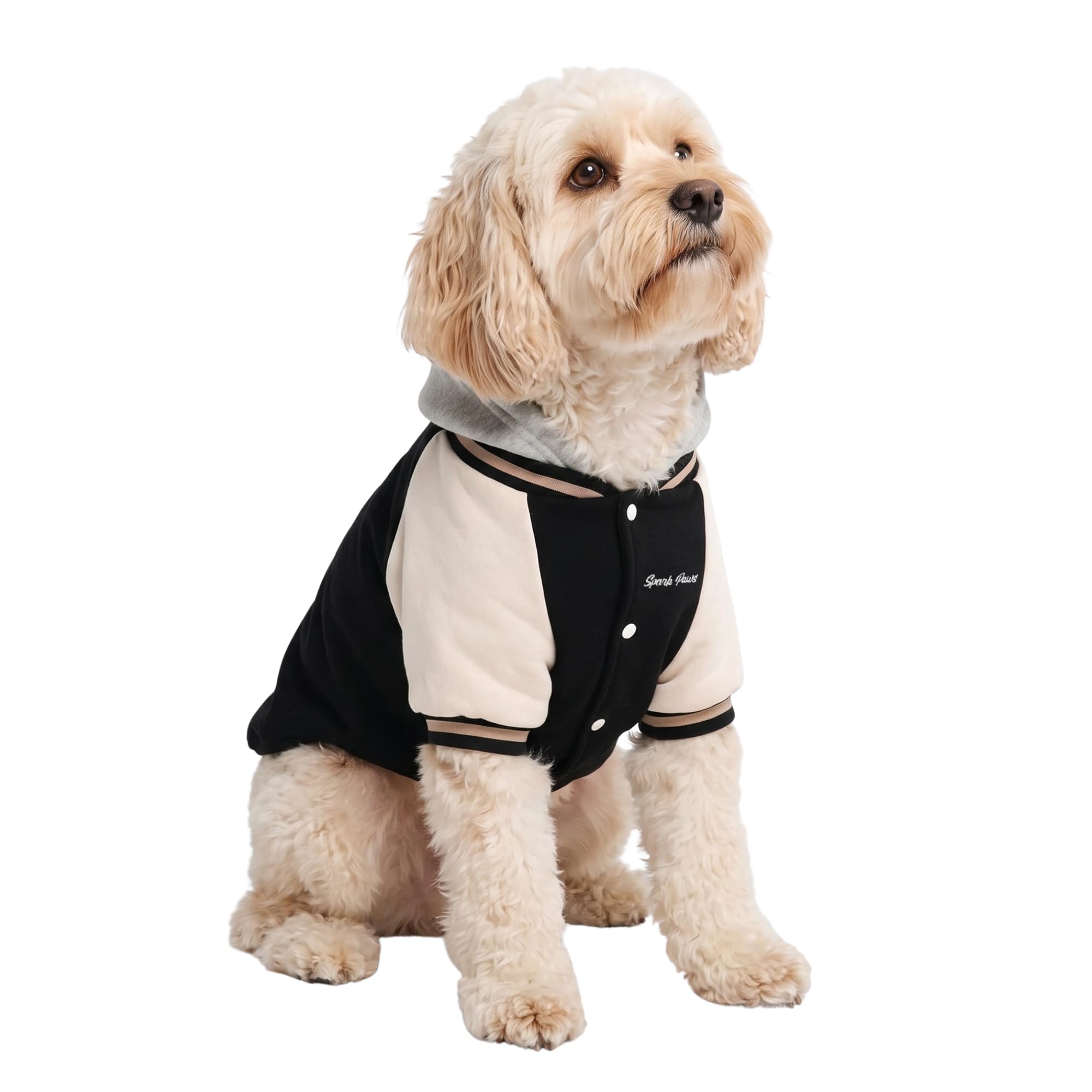 Spark Paws Varsity Dog Jacket - Dog Hoodie Winter Coat for Small Large Dogs