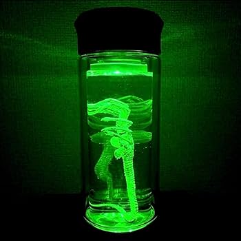 Amazon.co.jp: ホルマリン漬け エイリアン フェイスハガー