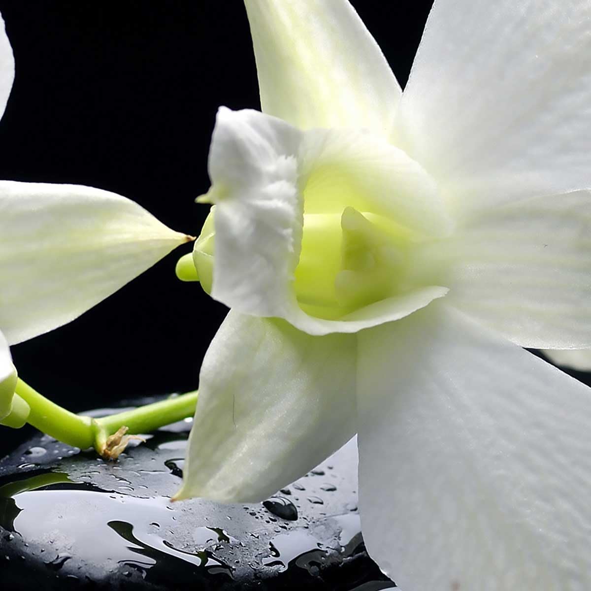 Tableau triptyque Tableau Photo Zen orchidées et Galets - 90x60 cm - Made in France - 90x60