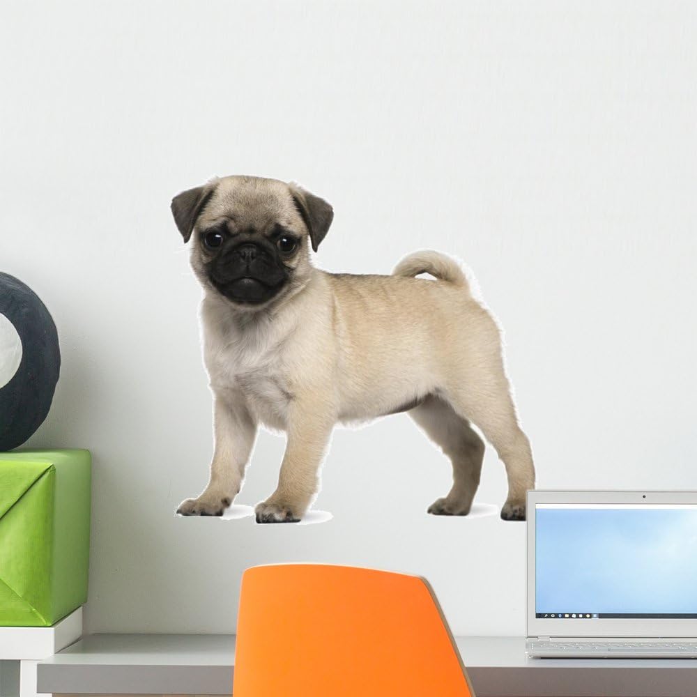 Wallmonkeys Wall Decals Pug Puppy Peel and Stick Wall Decal, 18 x 16
