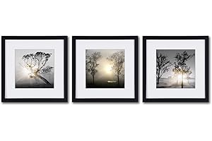 Framed Photography: Tranquil Sunrise Landscape Canvas Prints