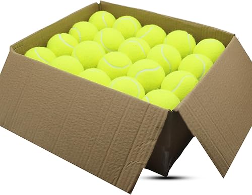Pelotas de tenis, paquete de 40 pelotas de tenis de entrenamiento, tenis de práctica de alta elasticidad para principiantes, pelotas de ejercicio