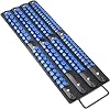 80 Socket Organiser Rack with Holder for 1/4, 3/8, 1/2 inch Tool Trays, Sturdy Socket Managers with Handle, Black Rails with Blue Socket Holders for Professional and DIY Use