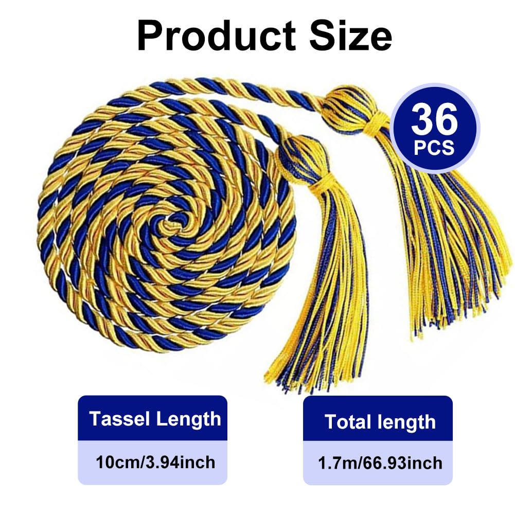 FtyFty 2Pcs Graduation Honor Cords 68 Long, Double And