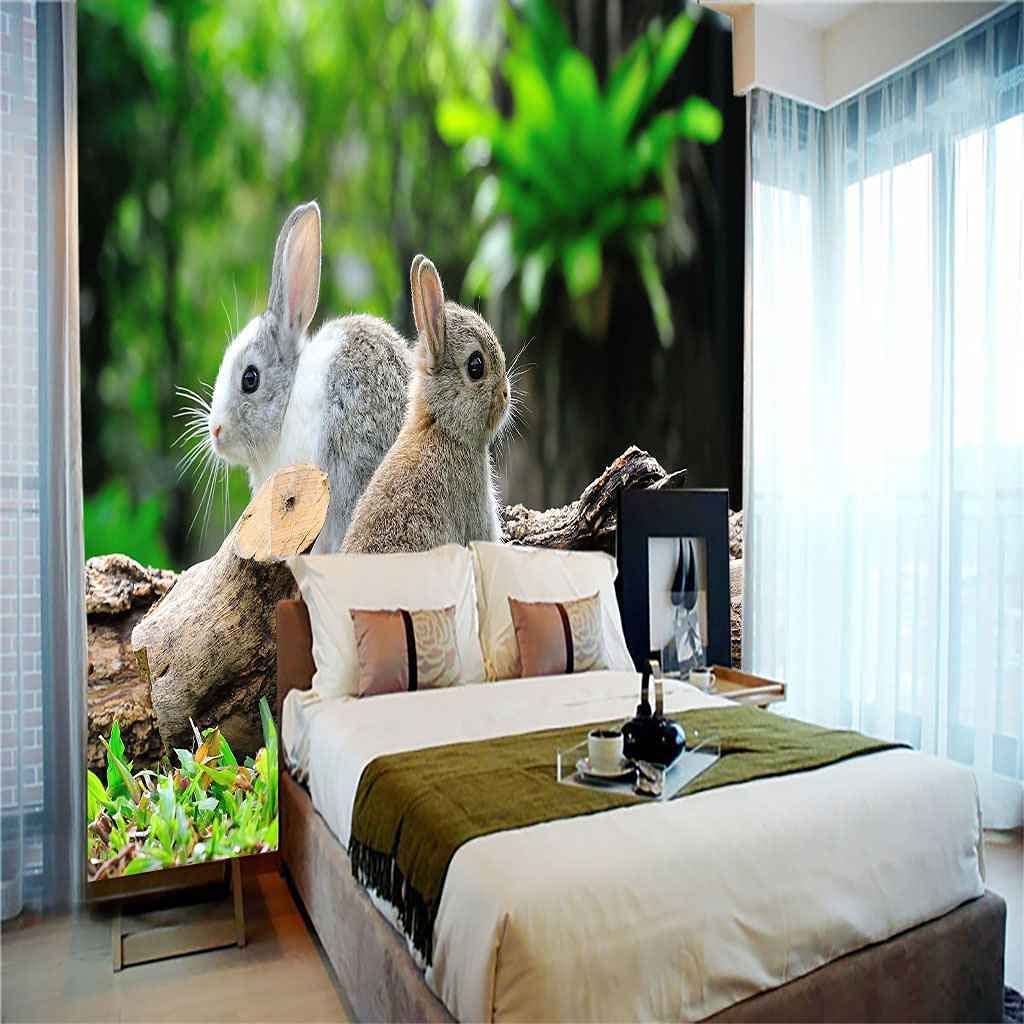 Rabbit Wallpaper For Walls