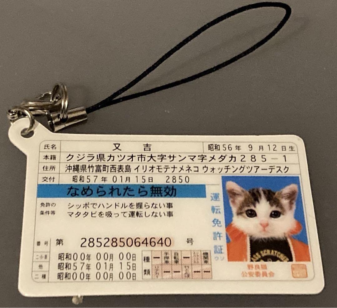 Amazon.co.jp: 元祖なめ猫 なめんなよ なめねこ レトロ 免許証
