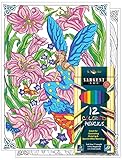 Flower Fairy - Color By Number Poster Set - Includes 12 Coloring Pencils