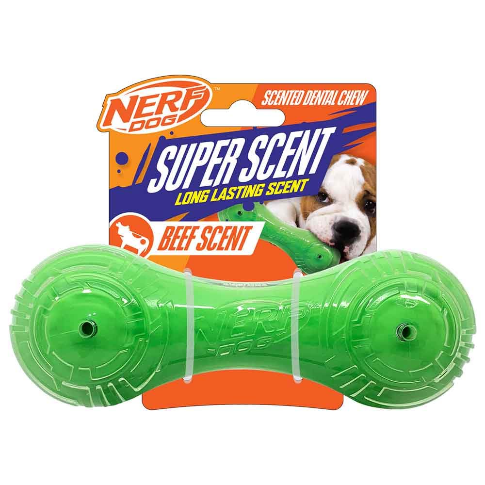 Nerf Dog 7in TPR/PP Scented Beef Super Scent Barbell Solid Core Dog Toy -Green/Clear
