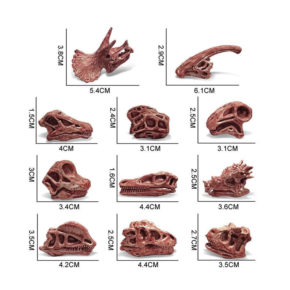 11CPS Mini szkielet g?owy dinozaura, prehistoryczna czaszka zwierz? piaskownica g?owa dinozaura model zestaw - br?zowy