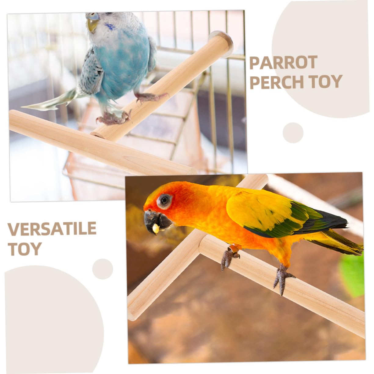 HANABASS 10piezas Soporte De Percha para Aves De Madera Natural para Periquitos Loros y Cockatiels Accesorio De Jaula Práctico y Duradero