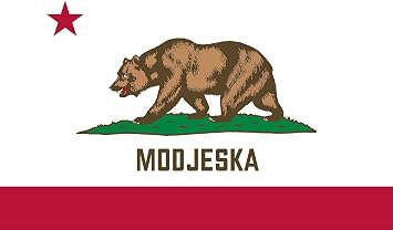 Modjeska California Flag Sticker Decal Mega Deal 6 Stickers for This California City or Location