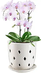 Vaso de orquídea de cerâmica, vaso de orquídea de 15 cm com furos, vaso oco de cerâmica de losango, excelente circulação de ar, plantador de orquídeas com pires para replantar Dendrobium Oncidium Cattleya em ambientes internos e externos