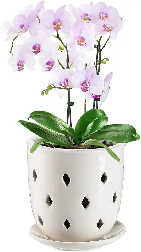 Vaso de orquídea de cerâmica, vaso de orquídea de 15 cm com furos, vaso oco de cerâmica de losango, excelente circulação de ar, plantador de orquídeas com pires para replantar Dendrobium Oncidium Cattleya em ambientes internos e externos