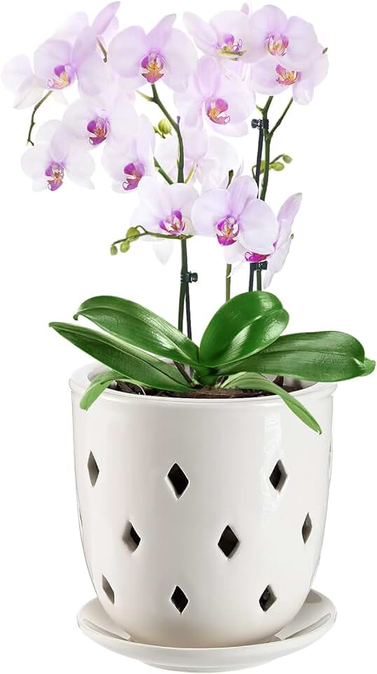 Vaso de orquídea de cerâmica, vaso de orquídea de 15 cm com furos, vaso oco de cerâmica de losango, excelente circulação de ar, plantador de orquídeas com pires para replantar Dendrobium Oncidium Cattleya em ambientes internos e externos