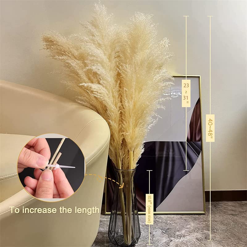 Pampas Grass Boho Decor, Pack de 10 Pampas Secas 120cm miniatura 4
