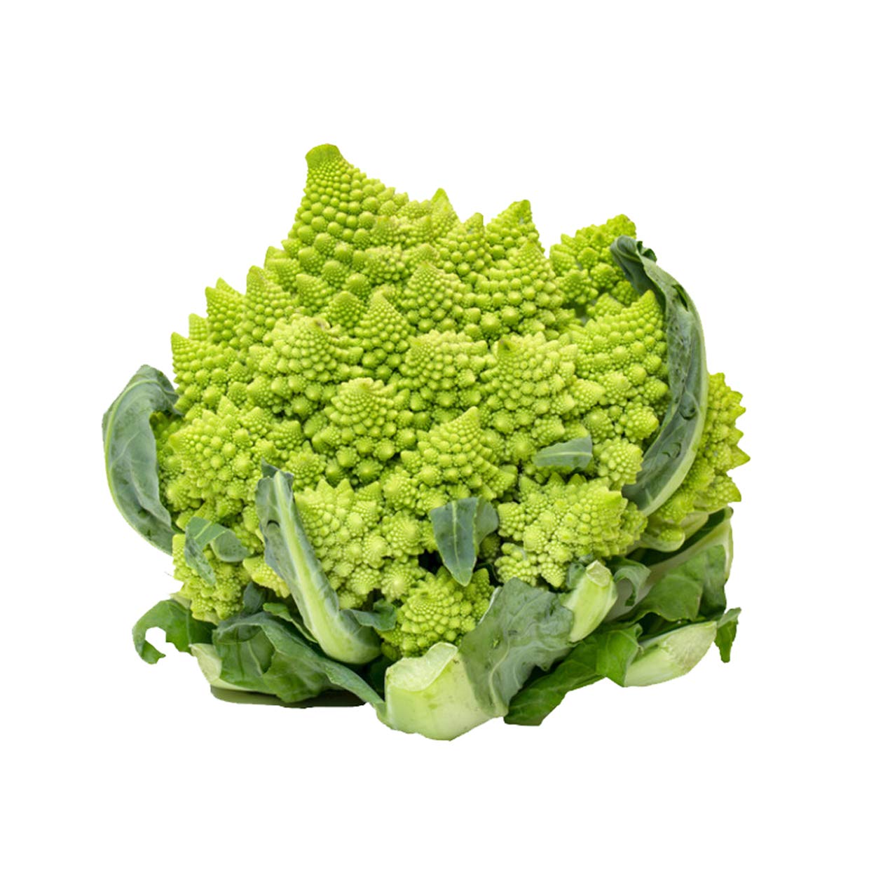 Nema Pagoda Green Cauliflower Vegetable Seeds-100Pcs (B07SL96X72) Amazon Price History, Amazon Price Tracker