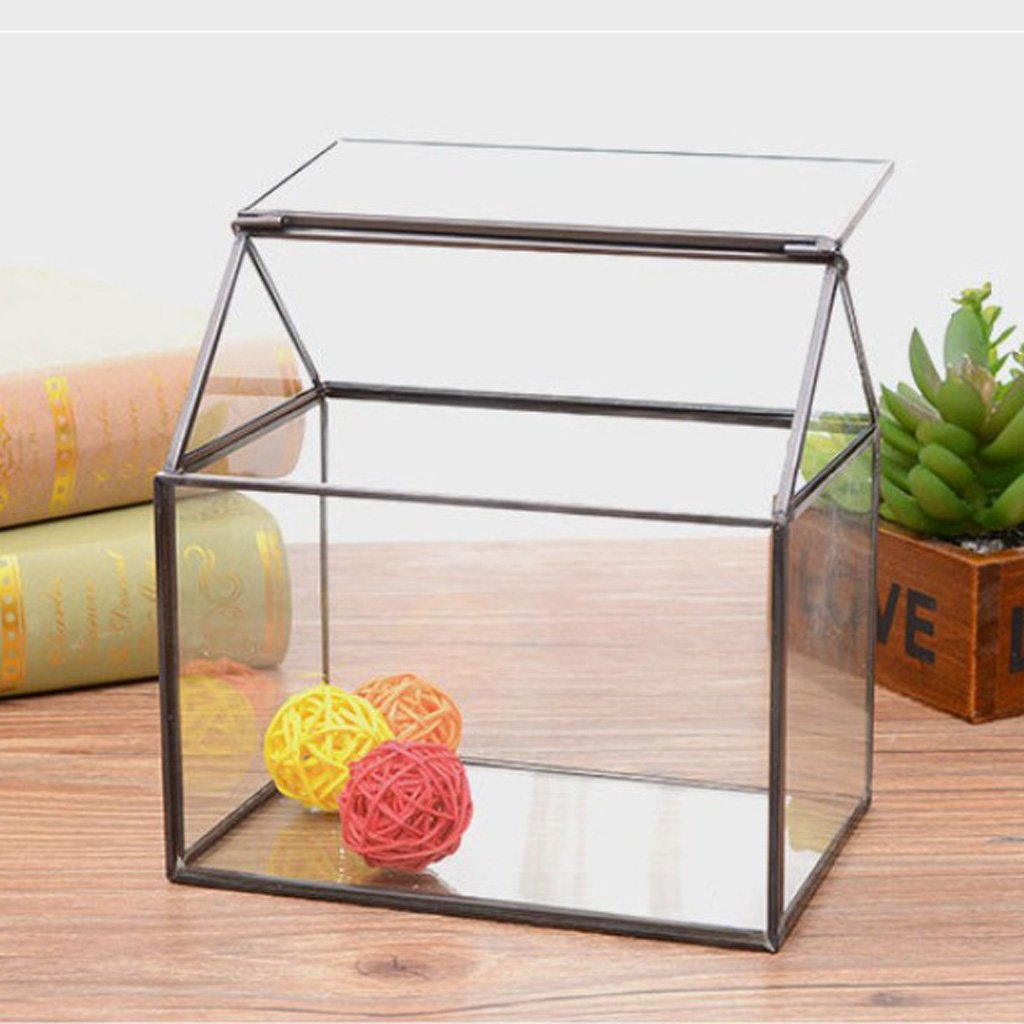 Amazon.co.jp: ガラステーブルトップ多肉植物テラリウムボックス Amazon.co.jp: ガラステーブルトップ多肉植物テラリウムボックス