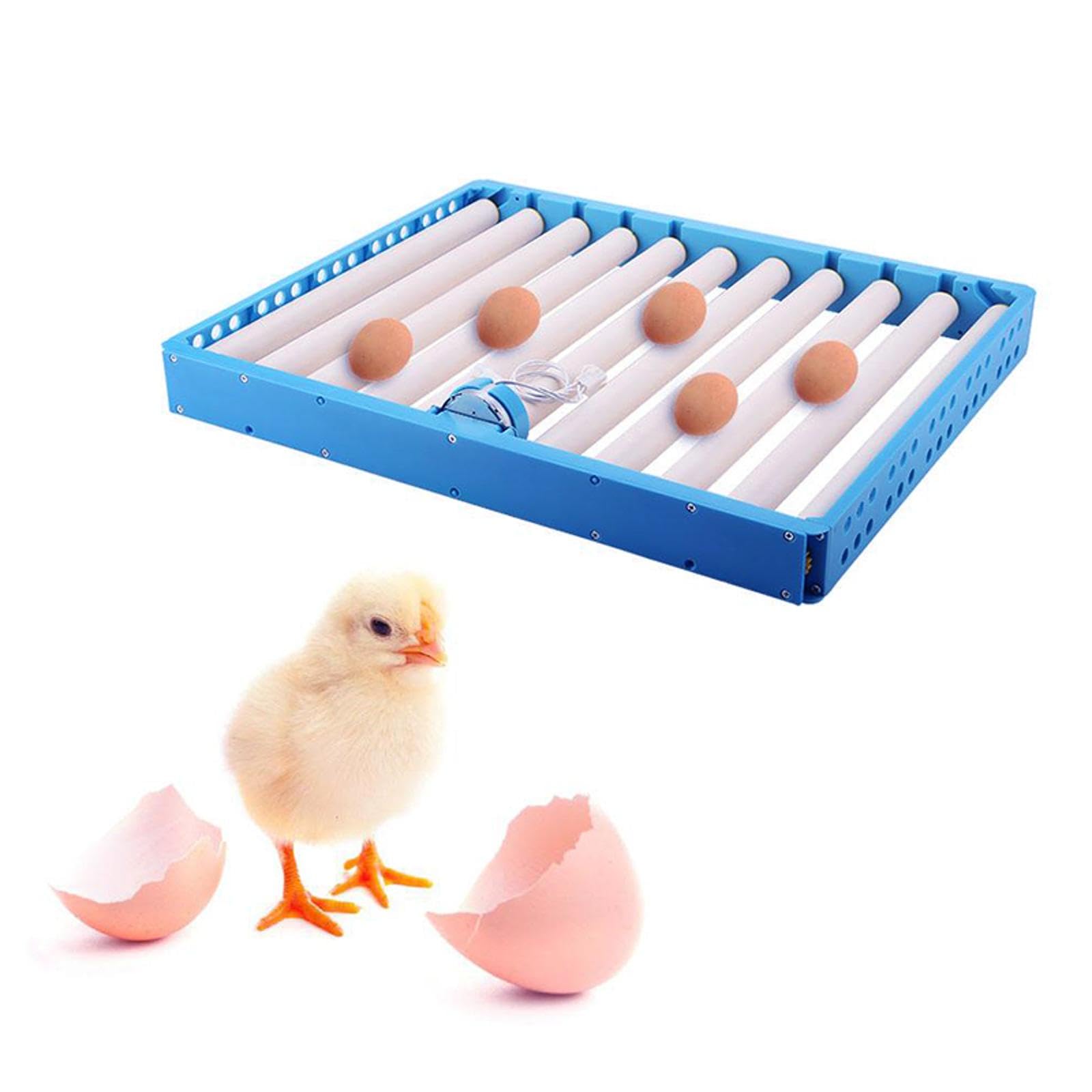 SEIWEI Automatisches Eierrolltablett, automatisch drehendes Eier-Inkubationsrolltablett, Inkubator-Zubehör zum Ausbrüten von Hühnern, Enten und Vögeln(9 Rollen)