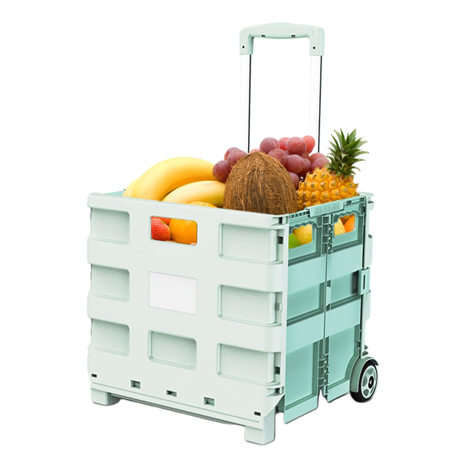 Carrello della Spesa con Ruote Organizzatore Pieghevole con Maniglia in | Carrello Utilitario per la Spesa con Ruote per Casa Giardino Campeggio Pesca Picnic Viaggi Trasporto e Trasloco