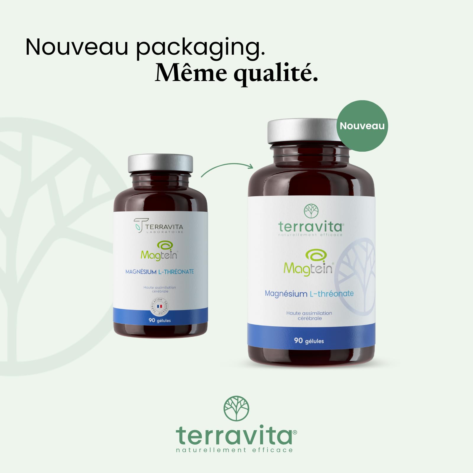 Magnésium L-Thréonate Magtein® | 2000 mg par Dose | Capacités Cognitives : Apprentissage, Mémoire et Concentration | Assimilation Cérébrale Inégalée | 90 Gélules Vegan | Made in France | Terravita